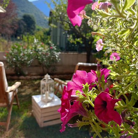 La Civetta Appartamento Con Giardino E Parcheggio Nave  Exterior foto